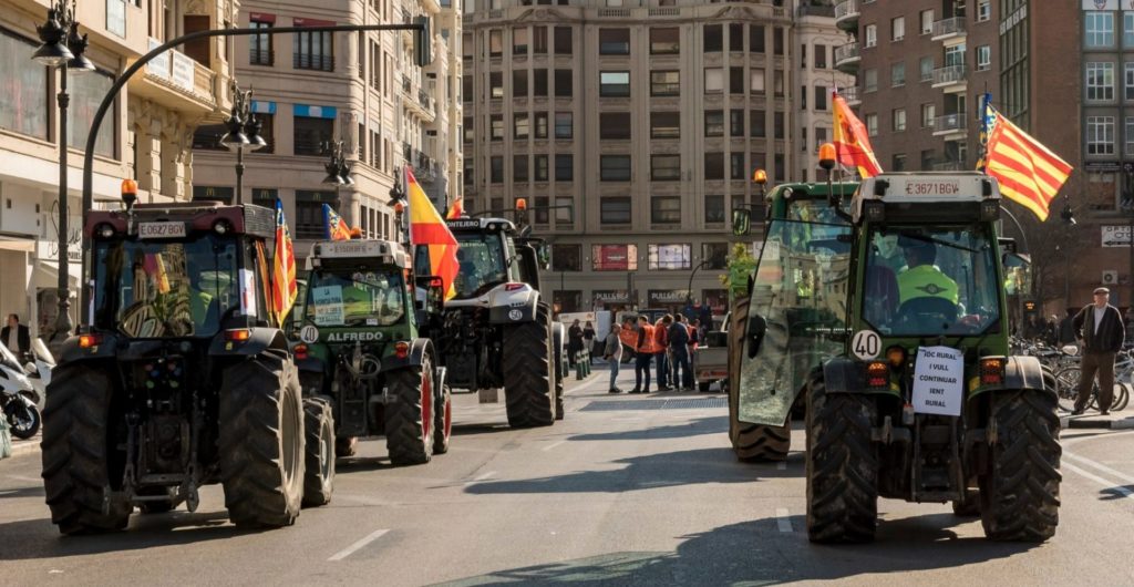 manifestación 25 de febrero en valencia